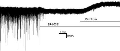 The Functional Role of Spontaneously Opening GABAA Receptors in Neural Transmission